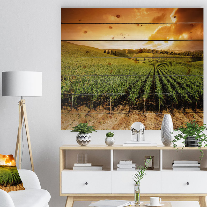 Sunset Vineyard Panorama - Photographie sans cadre sur bois, H 30 po x l 40 po x P 1 po