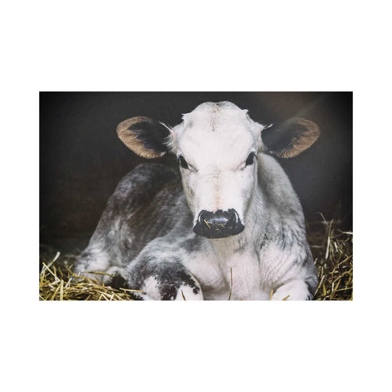 Busy Day Crop by Aledanda - Wrapped Canvas Print, 66.04 cm H x 45.72 cm W x 1.91 cm D