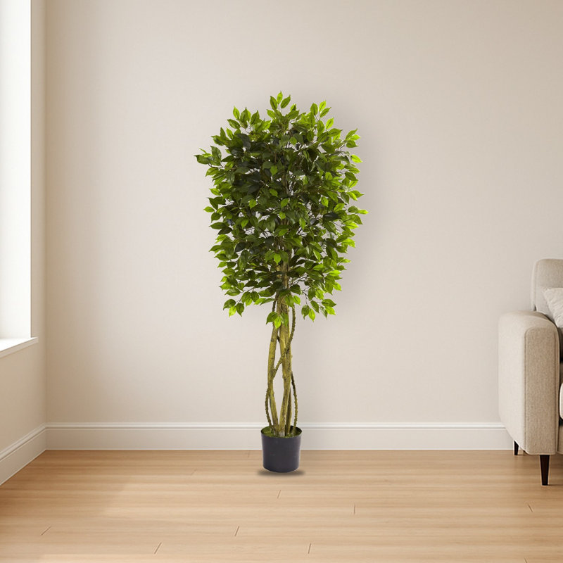 Ficus Artificial Tree