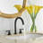 2-handle Bathroom Faucet with Drain Assembly