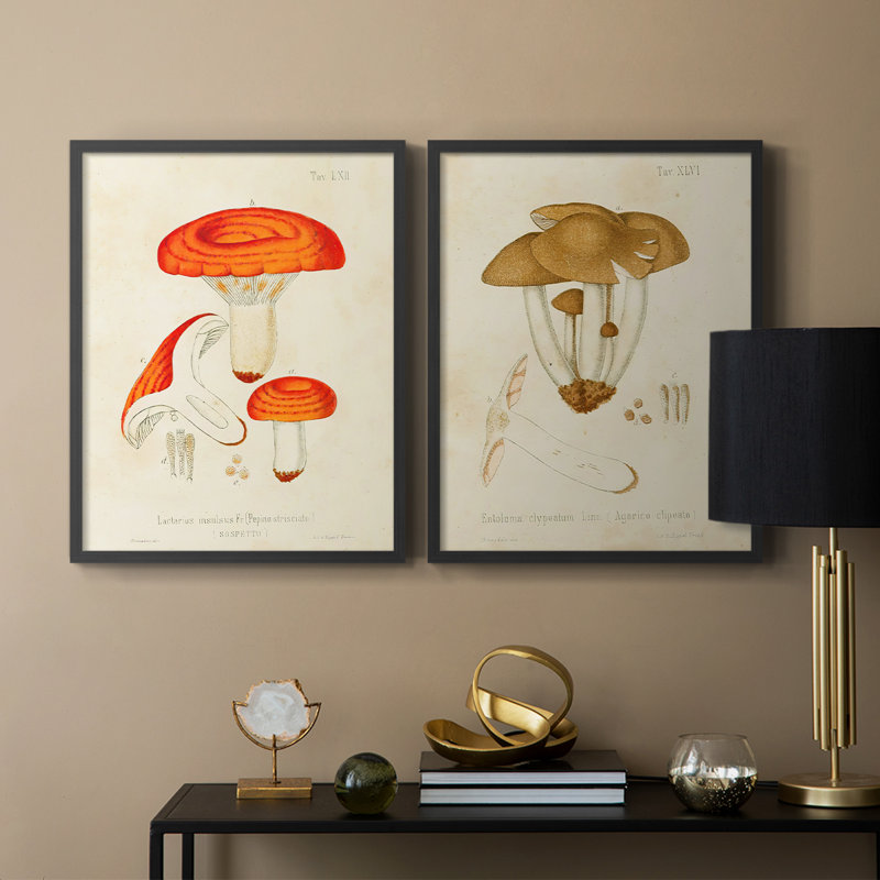 «Mushroom Variétés», reproduction encadrée de qualité supérieure - prête à être accrochée - aucun clou requis - aucun clou requis
