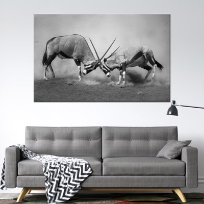 Oryx Antelope Fight, reproduction d'art sur toile, art de la faune africain monochrome, toile tendue 1P