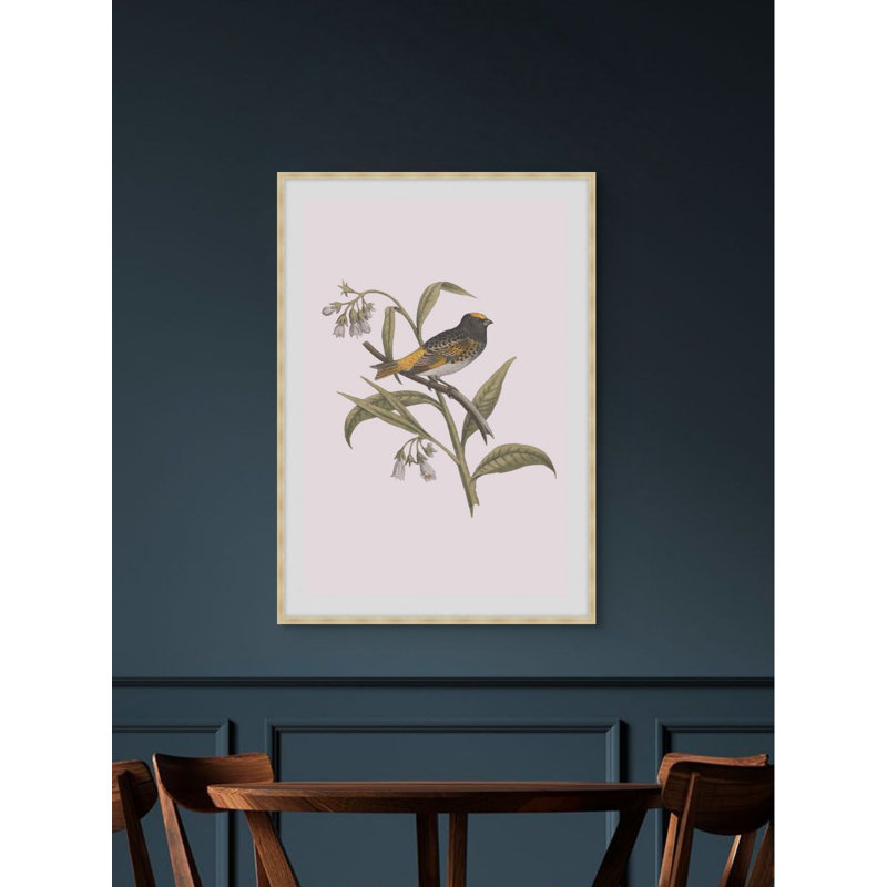Nesting Navigators Pink 5 Print, 32.75" H x 23.75" W