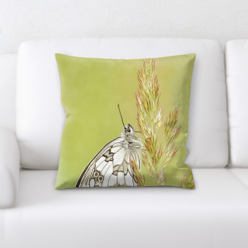 Housse et insert de coussin carré papillon