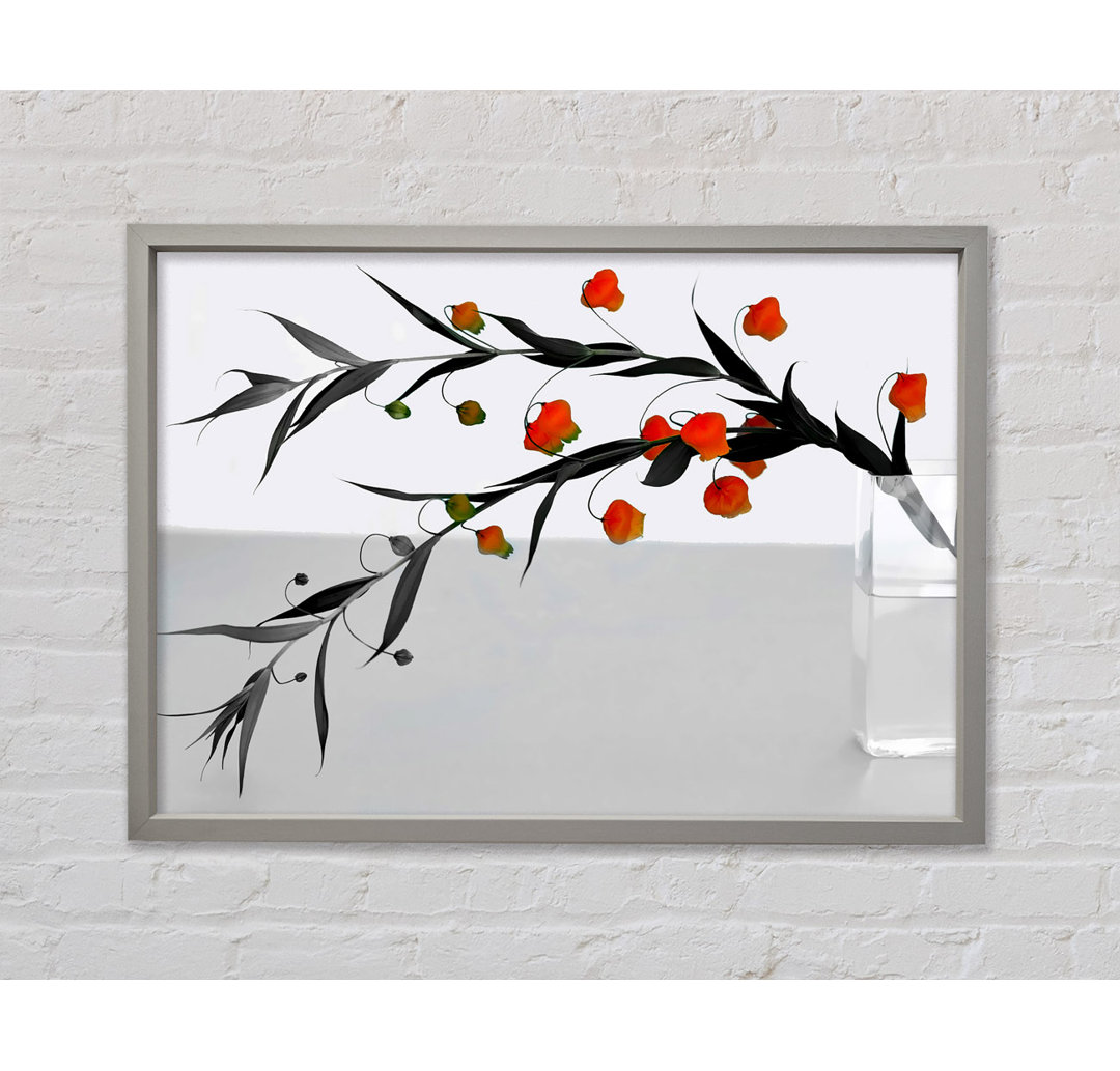 Vase Of Orange Buds B N W - Single Picture Frame Kunstdrucke auf Leinwand