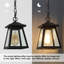 Lanterne suspendue d'extérieur noir mat 1 lumière H 10 po
