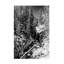 Art sur toile, "ologia "-104142642