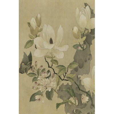 Magnolia et papillon