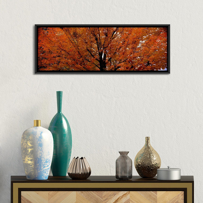 «Maple Tree in Autumn, Vermont, USA», reproduction sur toile tendue, H 20 po x l 60 po x P 1,5 po, Toile avec cadre noir