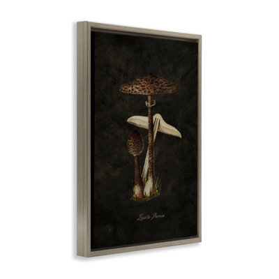 Toile flottante champignon foncé par Tina Higgins Designs, Inc.