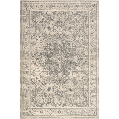 Downley Traditional DIstressed Area Rug