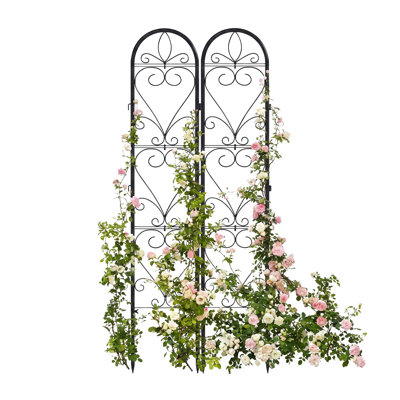 Ensemble de 2 treillis métalliques pour plantes grimpantes, 168 x 33 cm, noir