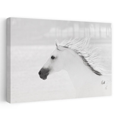 «Graceful White Horse In Motion Elegant Minimalist Peaceful Horse», art mural