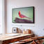 "Cardinal sur bois, art mural"-649057462
