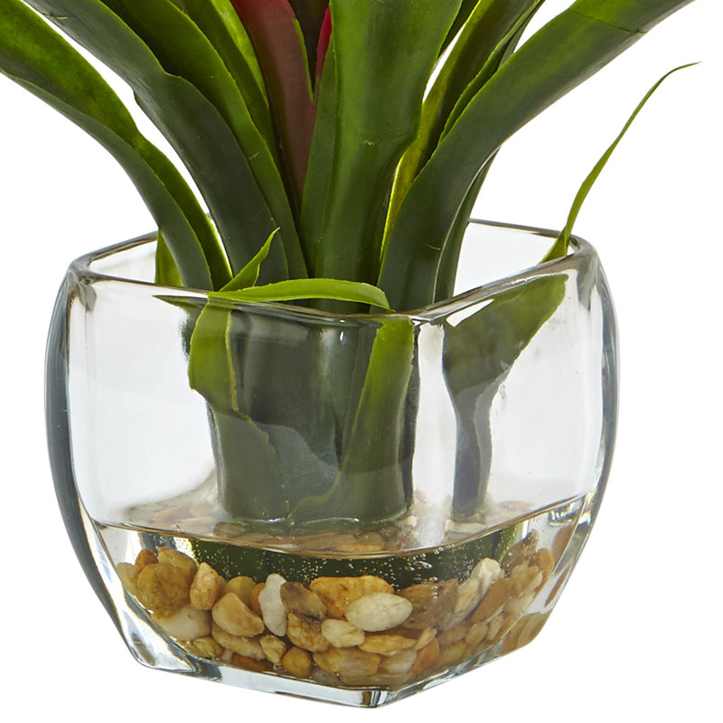 Arrangement floral broméliacées dans un vase, Rouge