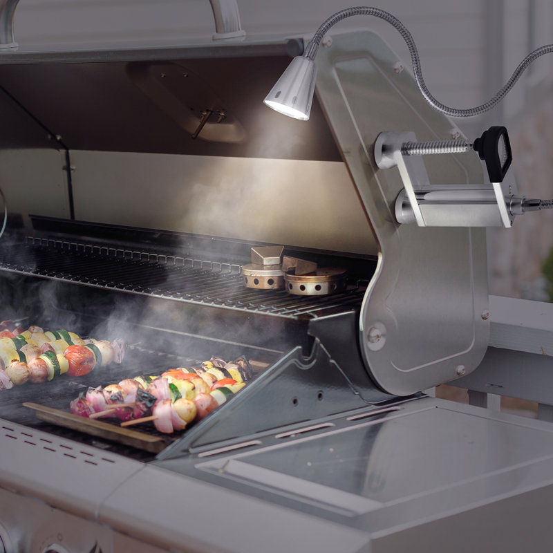 Lumière de barbecue flexible