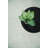 Wool Indoor Rug-517541378