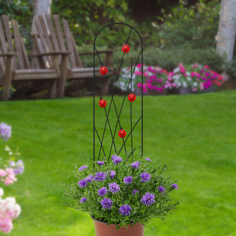 101.6cm H x 24.4cm W Metal Arched Trellis
