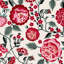 Jardin de fraises Vassaux-1131668669