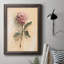 Painterly Rose Study II, toile encadrée de qualité supérieure - prête à être accrochée-656544466