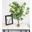 Ficus, saule, branches artificielles dans un vase