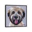 Wheaten Terrier III-35539290-72395694-72446705