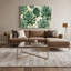 Art mural sur toile Botanical Haworthia-675628443