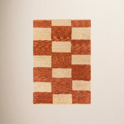 Anemone Hand-Tufted Checkered Shag Rug