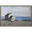 Seaside 2 Print by Ngo, PC-1698167911