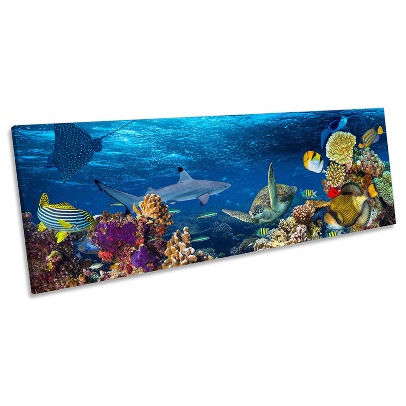 Underwater Coral Reef Fish - Wrapped Canvas Panoramic Print, 40.64cm H x 121.92cm W