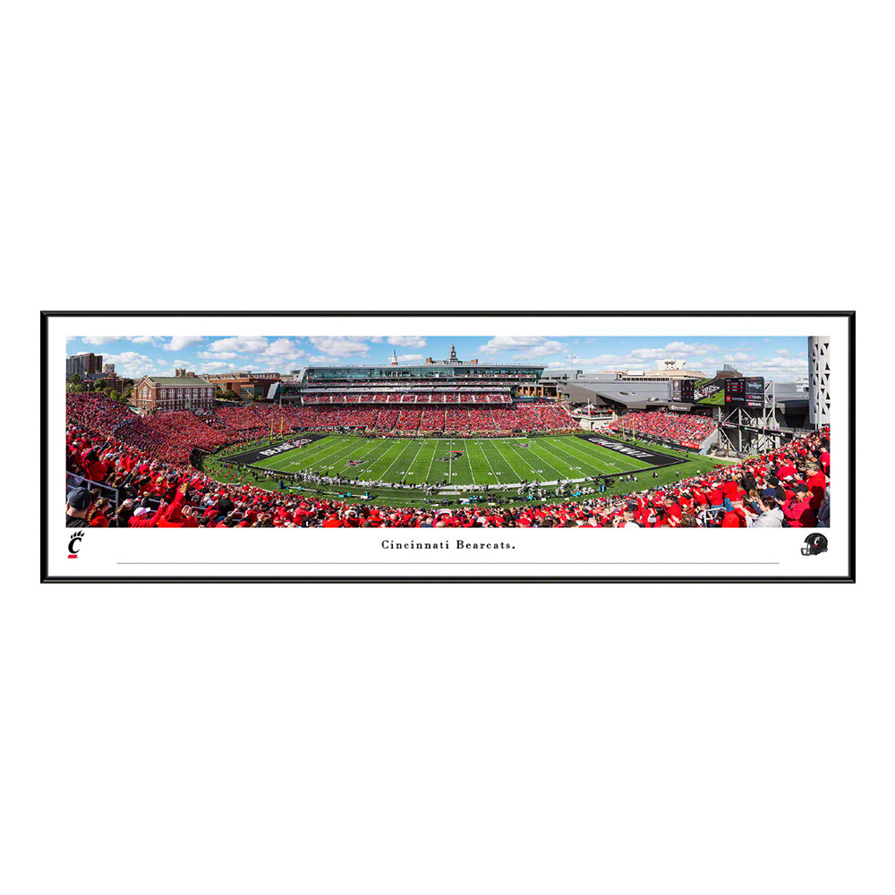 Blakeway Panoramas Cincinnati Bengals Panoramic Picture with Deluxe Frame | NFLBEN4D