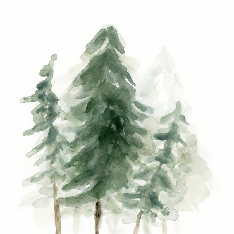 Evergreen Grove I by June Erica Vess - Wrapped Canvas Print, 30cm H x 30cm W