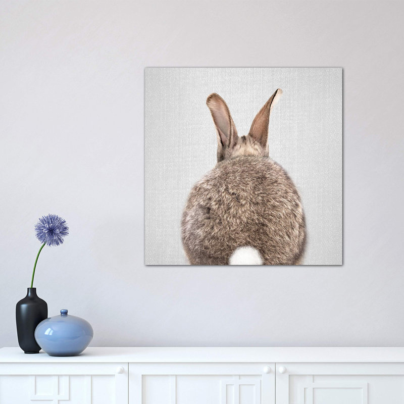 Rabbit Tail - Wrapped Canvas Print, 45.72 cm H x 45.72 cm W x 1.91 cm D