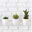 Hanging Planter-1498992678