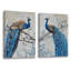 Paon sur une branche, impression sur toile 2 pièces-569921156