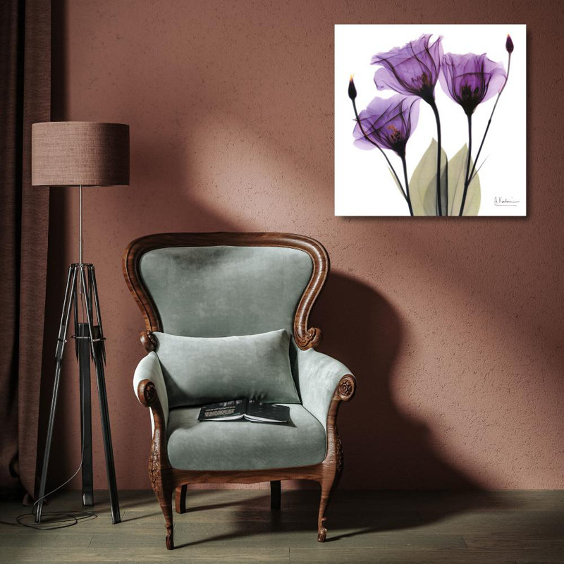 X-ray royal mauve, H 15 po x l 15 po