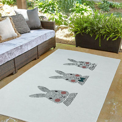 Elioth Chenille Indoor Rug