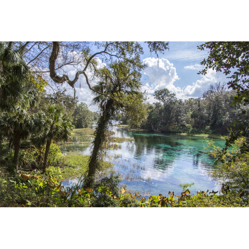 Rainbow Springs - Wrapped Canvas Print, 51cm H x 76cm W