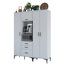 Atesha Accent Chest