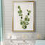 Botanical Wash III - Impression de cadre photo sur papier-1989108943-1989108929