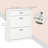 10 Pair Shoe Storage Cabinet