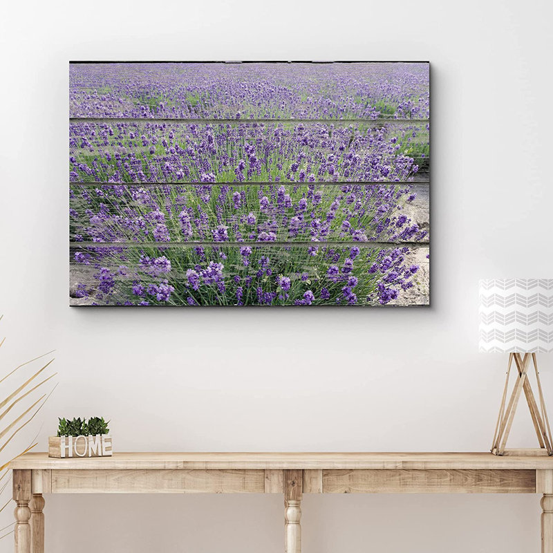 Mauve champ de lavande - impression sur toile tendue, H 24 po x l 36 po, Toile tendue