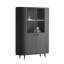 Elodie II China Cabinet with Lighting-1631410843