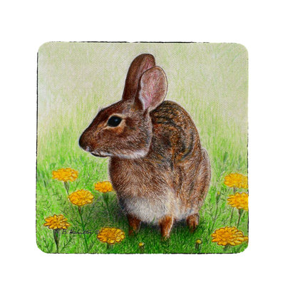 Dessous de lapin