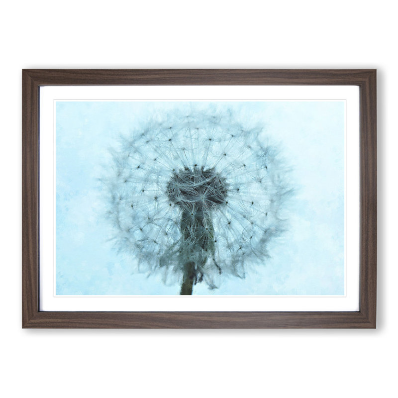 Dandelion Seeds Vol.9 - Picture Frame Graphic Art, 48cm H x 65cm W x 2cm D, Walnut Framed