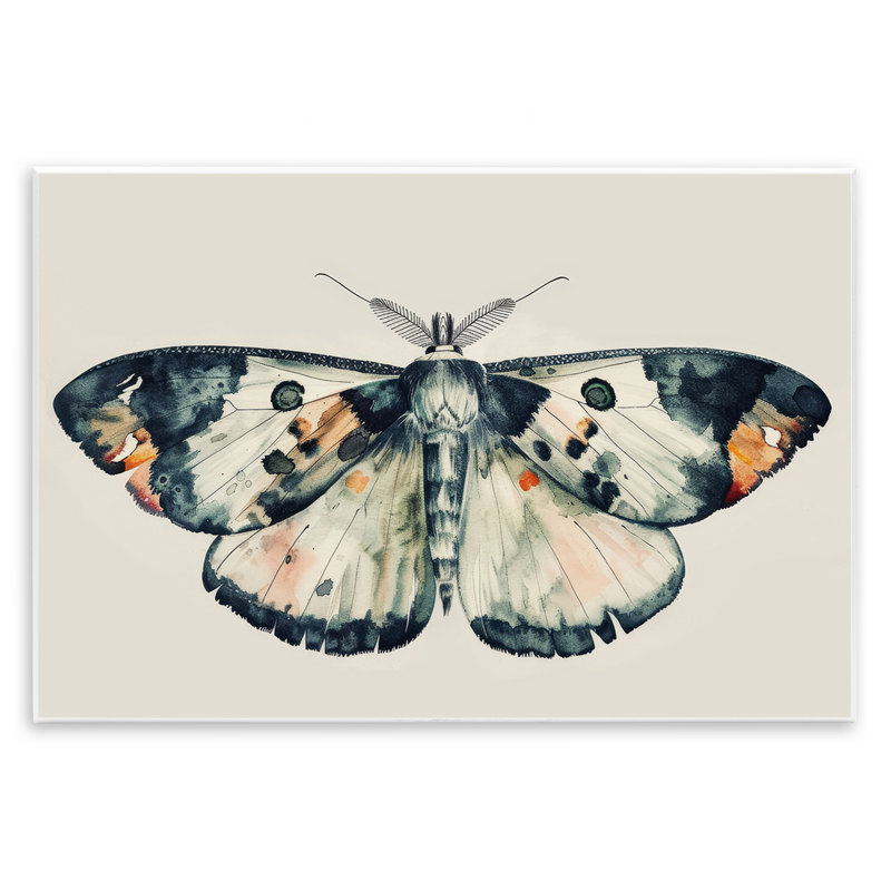 «Watercolor Black», reproduction de plaque murale par Petal Prints Design, H 10 po x l 15 po