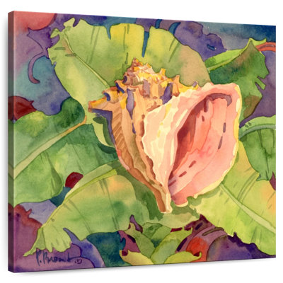 Aletra Mango Bay Conch