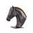 Equinus