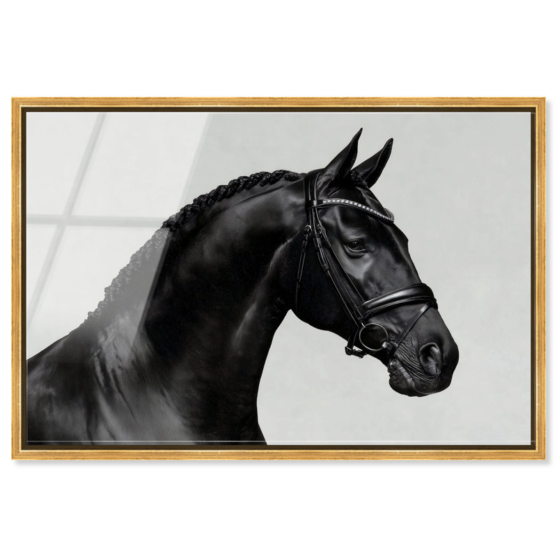 Midnight Majesty I Print, 11"H x 16"W, Gold Floater Frame