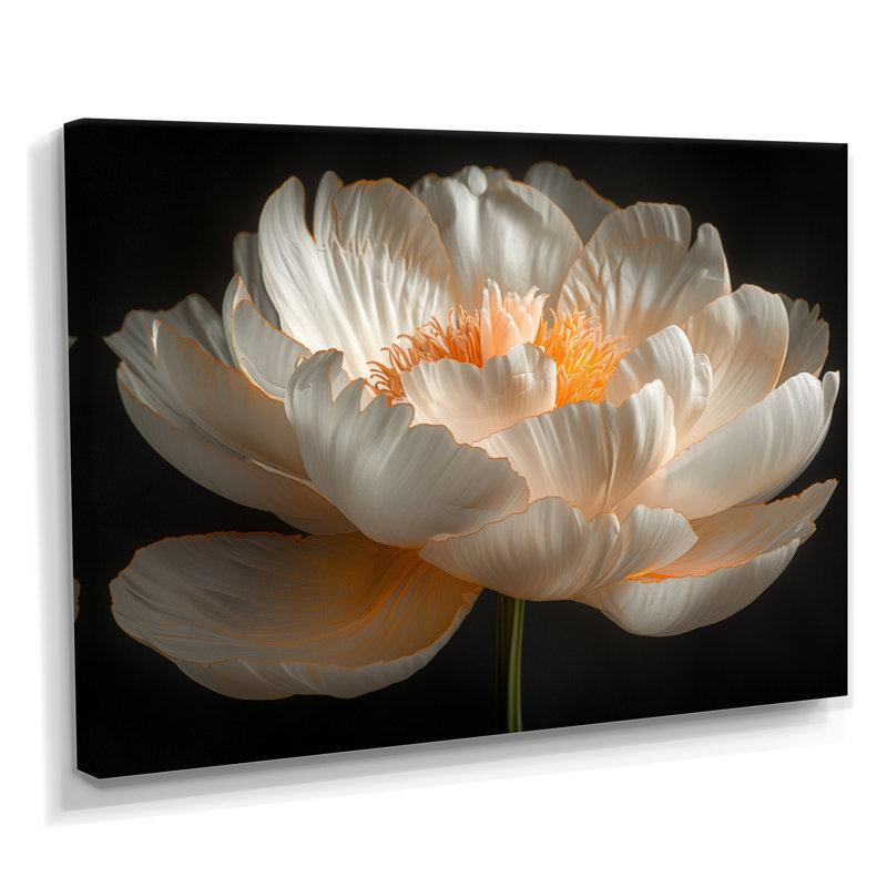 Riveria - Peonies Wall Art Print, Wrapped Canvas, 40" H x 60" W